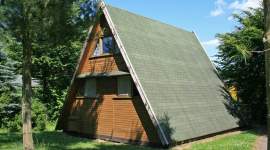 Nurdachhaus mit grünem Dach im Grünen