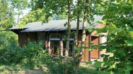 Modernes eingeschossiges Ferienhaus mit großen Fensterfronten, Holzverschalung und flachem Dach, eingebettet in dichtes Grün und Bäume