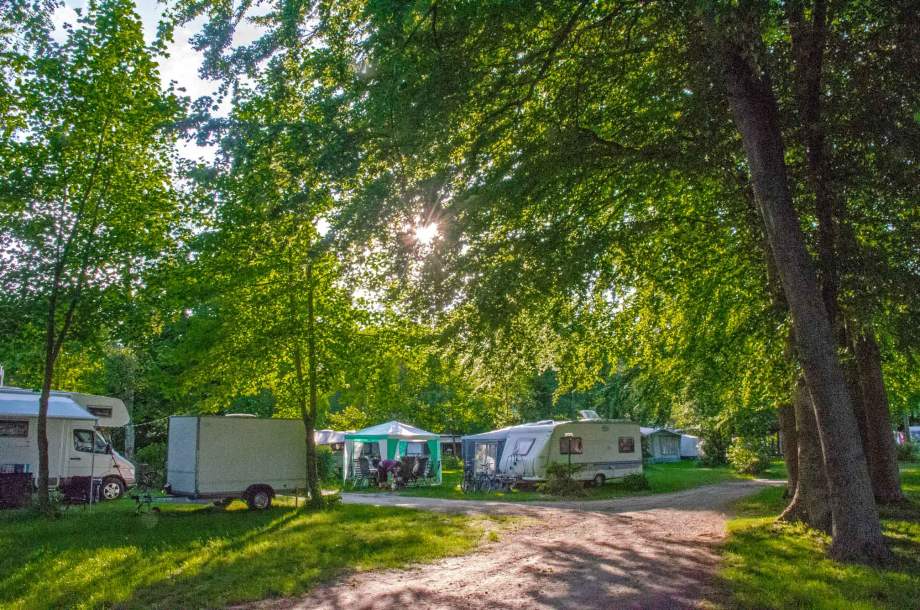Campingbereich auf dem Geesthof mit Wohnwagen und Zelten unter schattigen Bäumen am Nachmittag