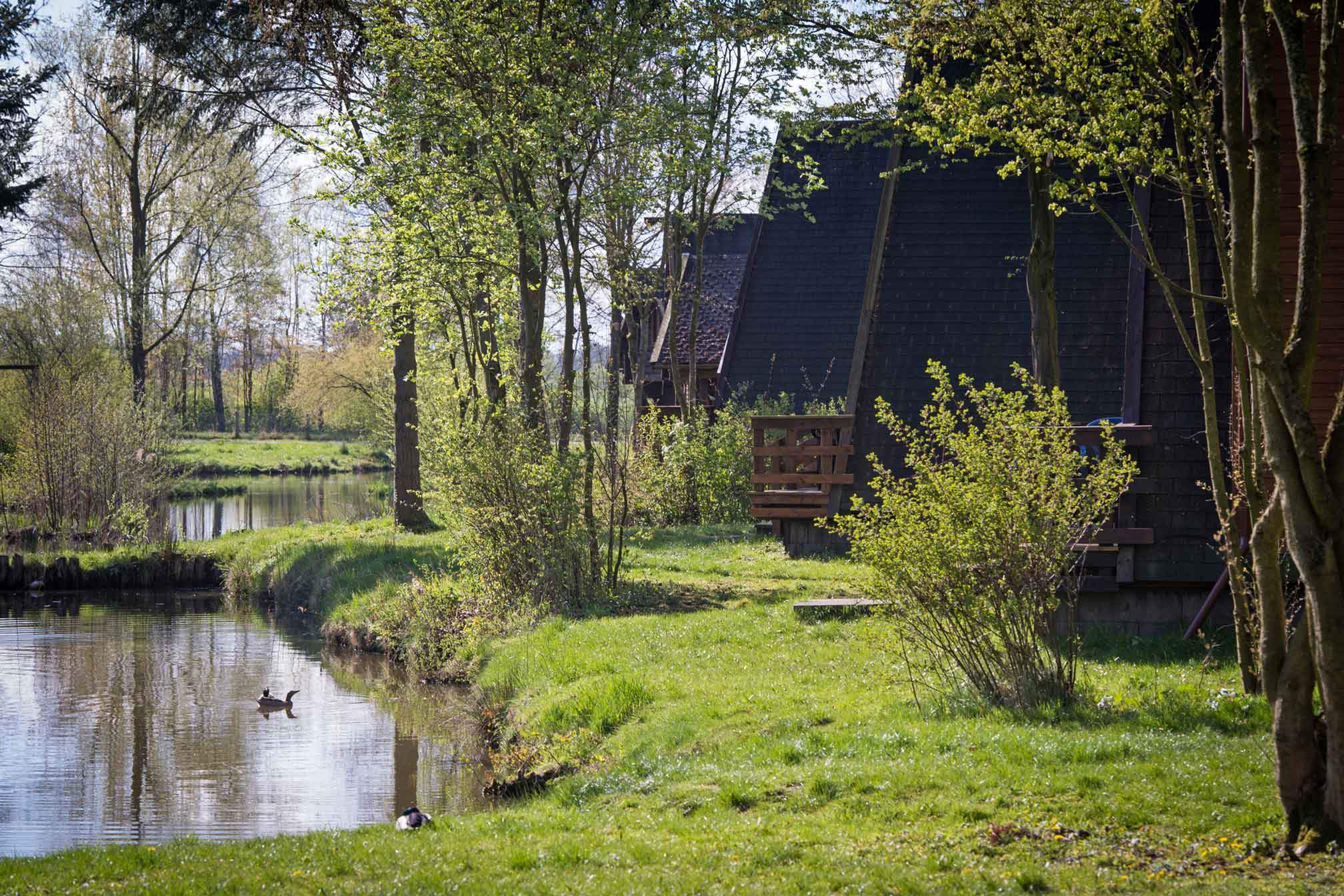 Nurdachhäuser am Teich im Grünen mit Enten im Wasser