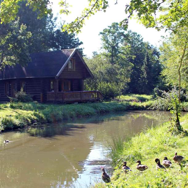 Foto eines Teiches, der direkt vor einem Ferienhaus liegt und Enten am Ufer sitzen.