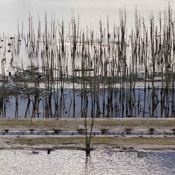 Foto einer Pütte mit abgestorbenen Bäumen im Mittelpunkt umgeben von Wasser.
