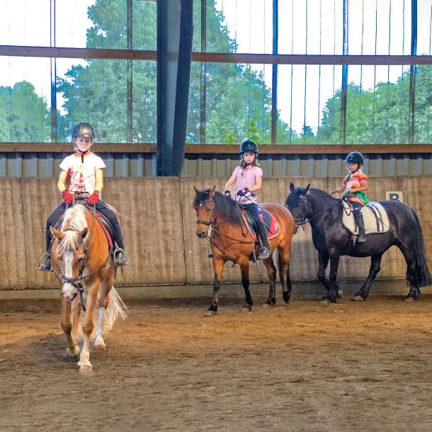 Foto einer Gruppe von Reitern in einer Reithalle.