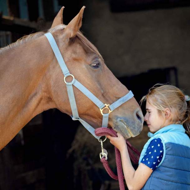 Foto eines Mädchens, dass ihre Nase an die Nase eines Pferdes hält.