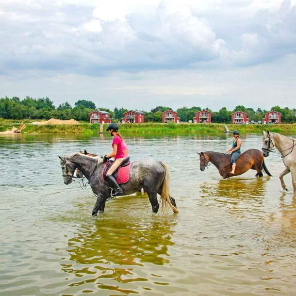 Foto von mehreren Reitern, die in den Geestsee reiten.