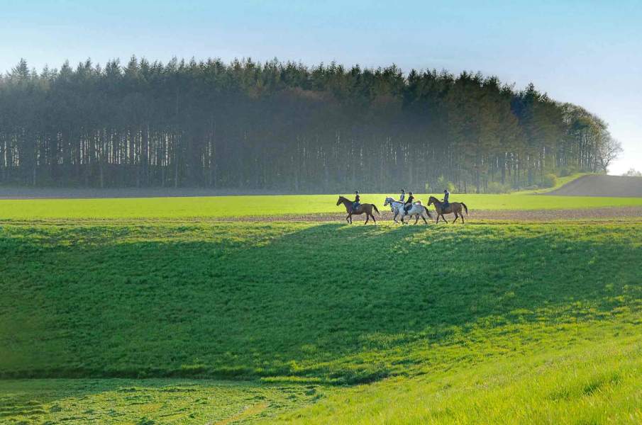 Foto eines Ausritts auf Pferden in einer weiten Landschaft.