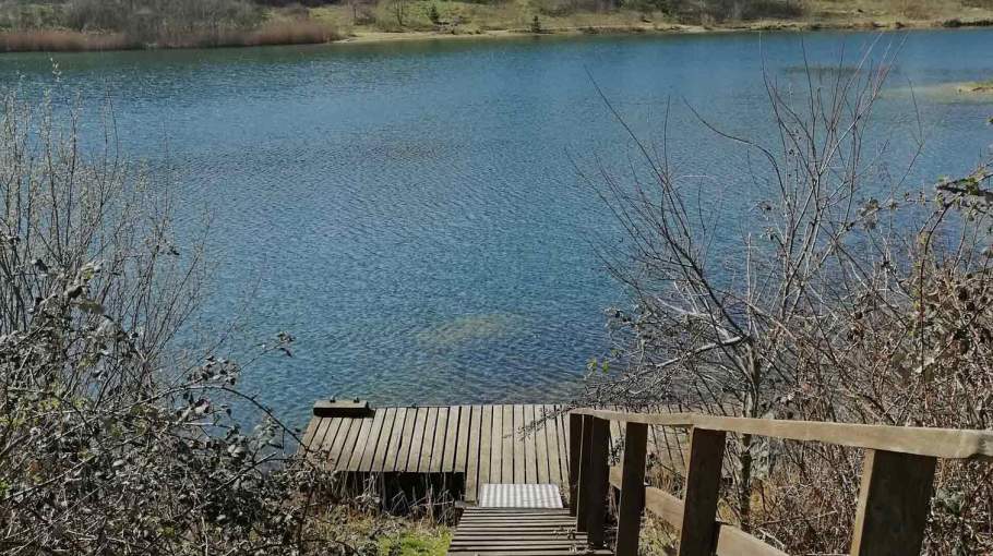 Foto eines Steges am Geestsee mit klarem Wasser.