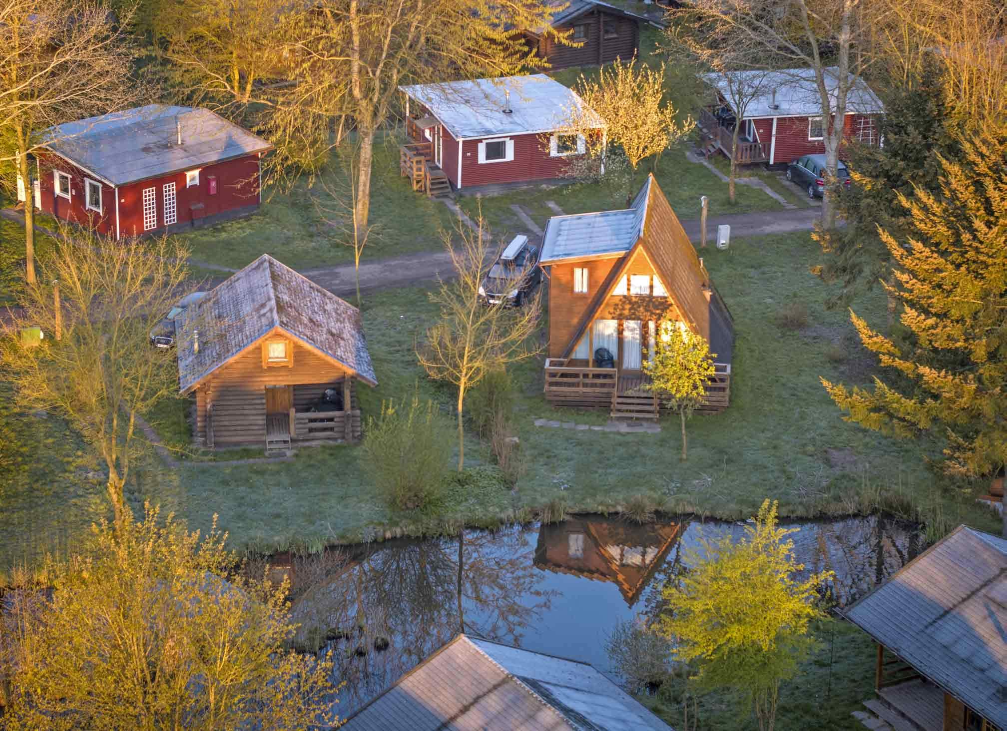 Luftaufnahme von Ferienhäusern, die zwischen hohen Bäumen am Wasser stehen.