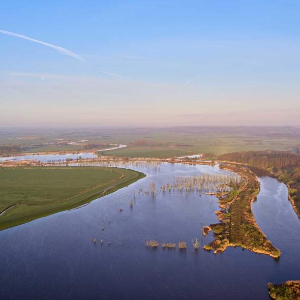 Foto der Pütte Kranenburg mit abgestorbenen Bäumen im Wasser