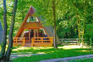 Foto eines Nurdach-Ferienhauses auf einer Wiese zwischen Bäumen