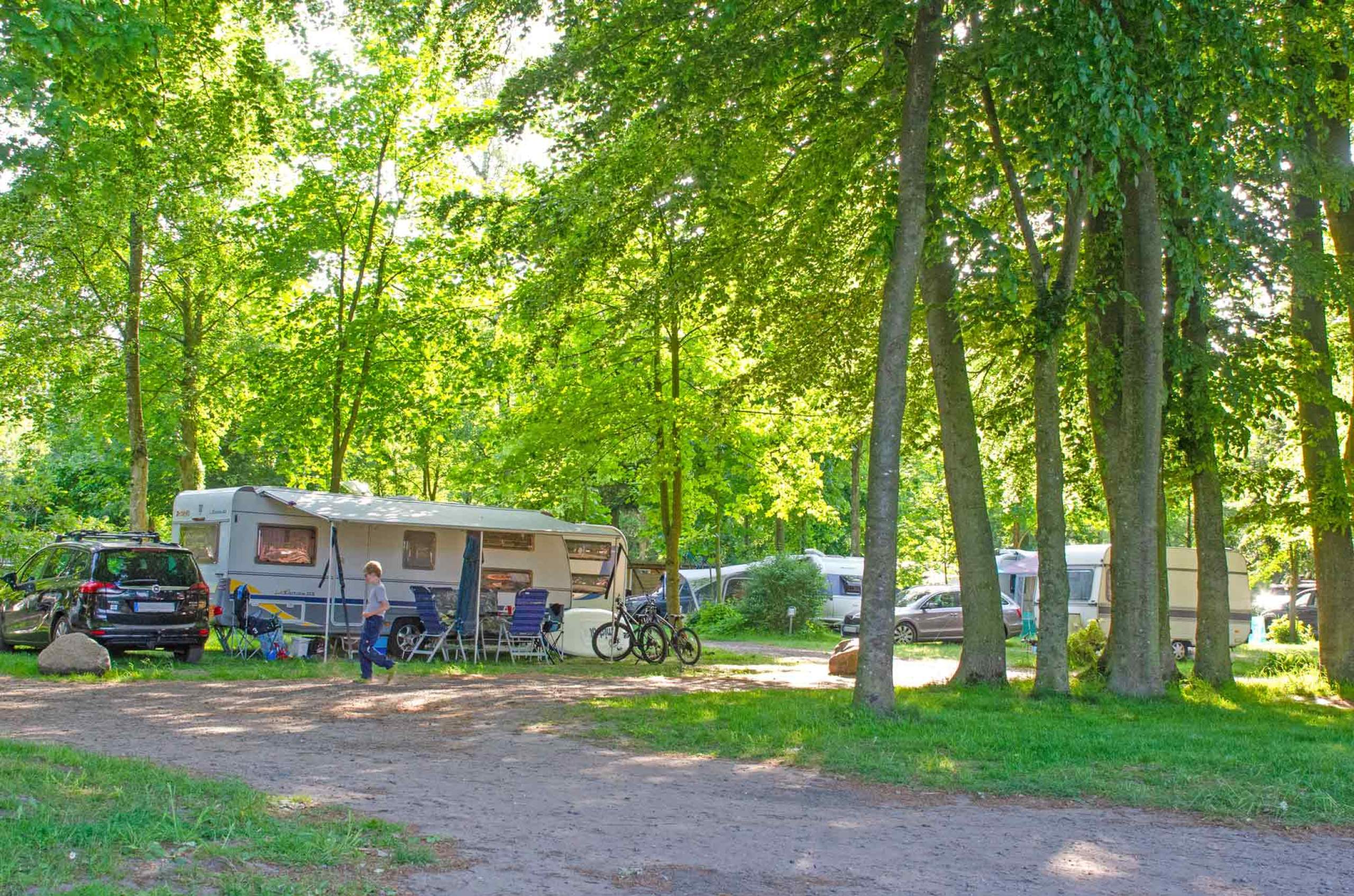 Camping zwischen alten Baumbeständen und naturnahen Wegen.