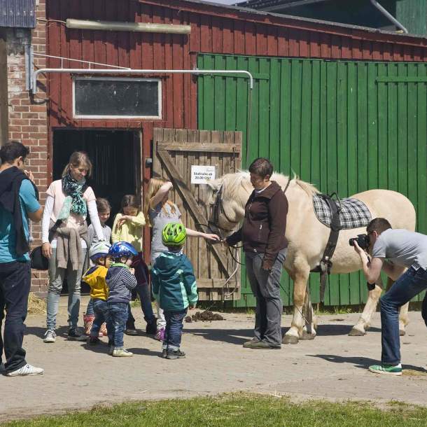 Foto von Kindern, die ein Fjordpferd anschauen, während die Eltern bei ihnen stehen.
