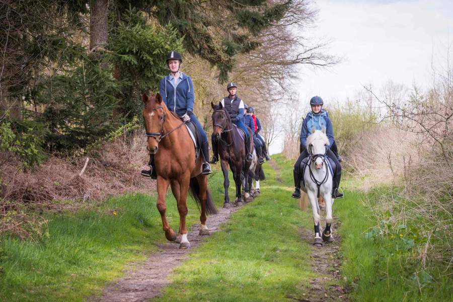 Foto einer Gruppe von Reiter:innen auf einem Waldweg.