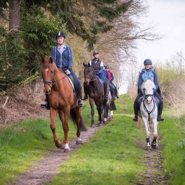 Bild einer Gruppe von Reiter:innen, die an einem Wald entlang reiten.