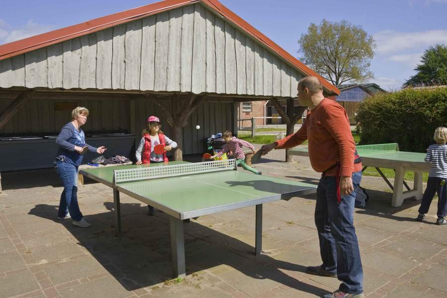 Foto einer Gruppe, die gemeinsam Tischtennis spielt.