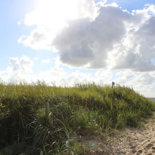 Foto einer Düne am Strand in Cuxhaven.
