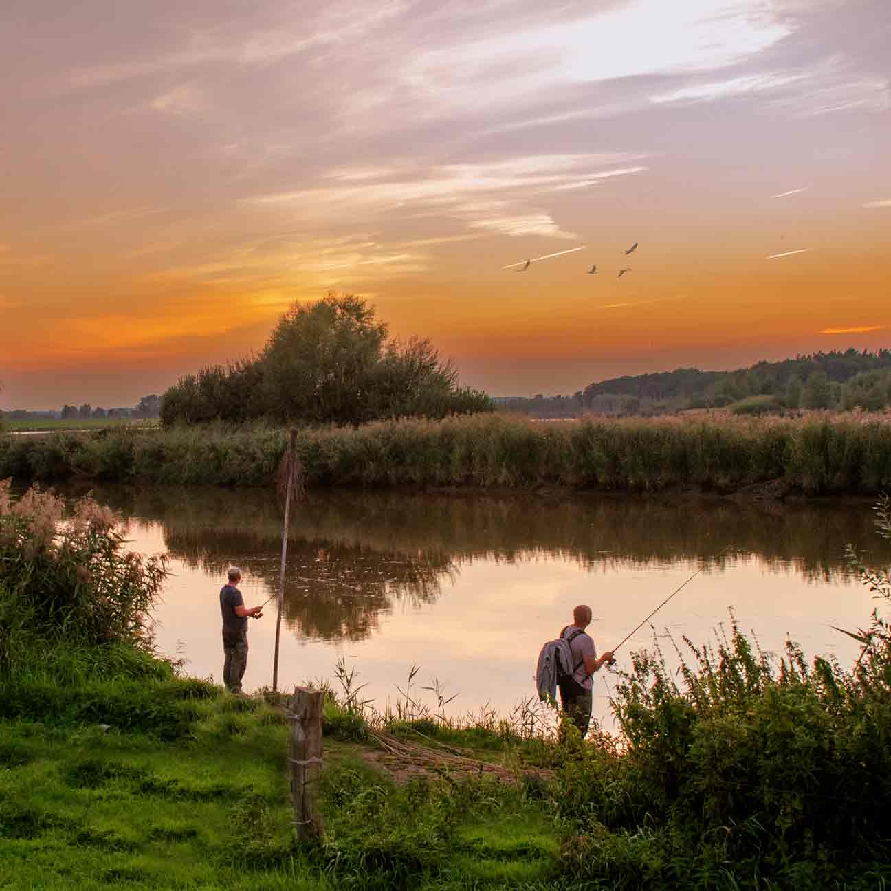 Angler an der Oste im Abendlicht – entspanntes Angeln im Ferienpark bei Sonnenuntergang