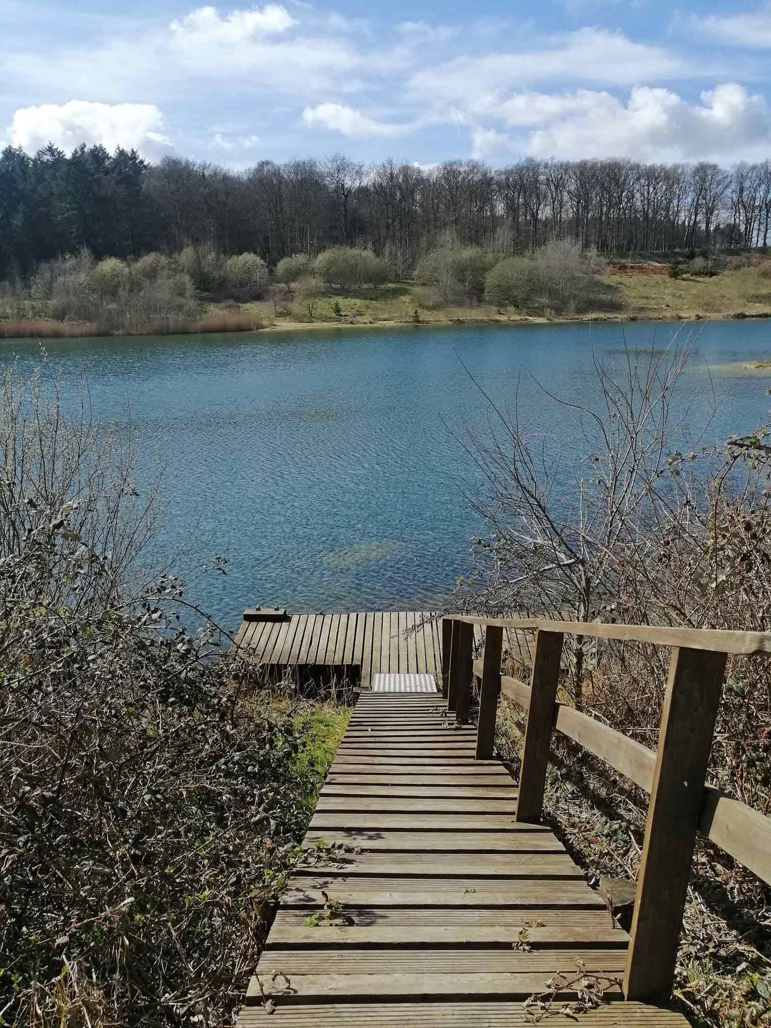 Foto eines Steges am Geestsee mit klarem Wasser.
