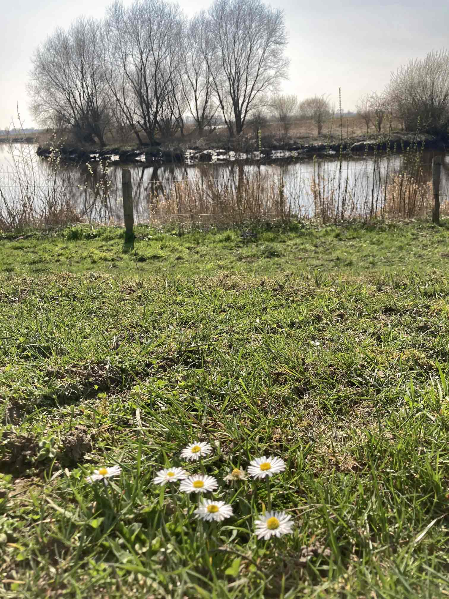 Zu jeder Jahreszeit ein Hingucker - Frühling an der Oste