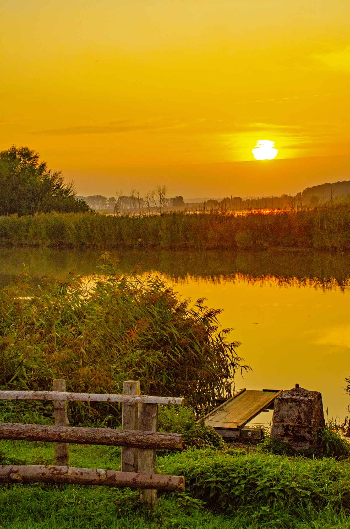Abendstimmung am Wasser mit untergehender Sonne, Steg, Holzgeländer und dichtem Schilf