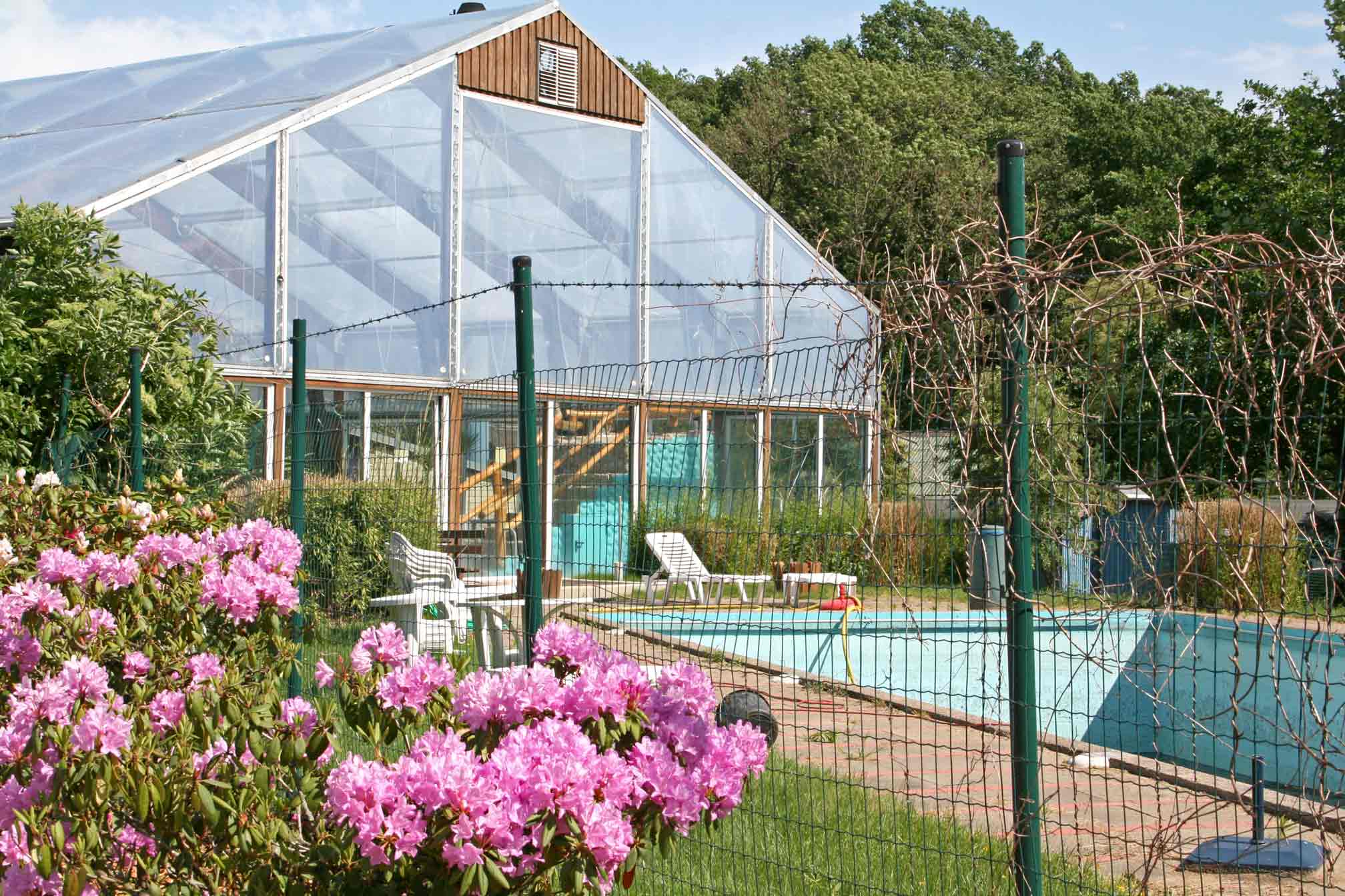 Foto vom Badeparadies beim Geesthof mit Außenbecken und Blumen im Vordergrund.