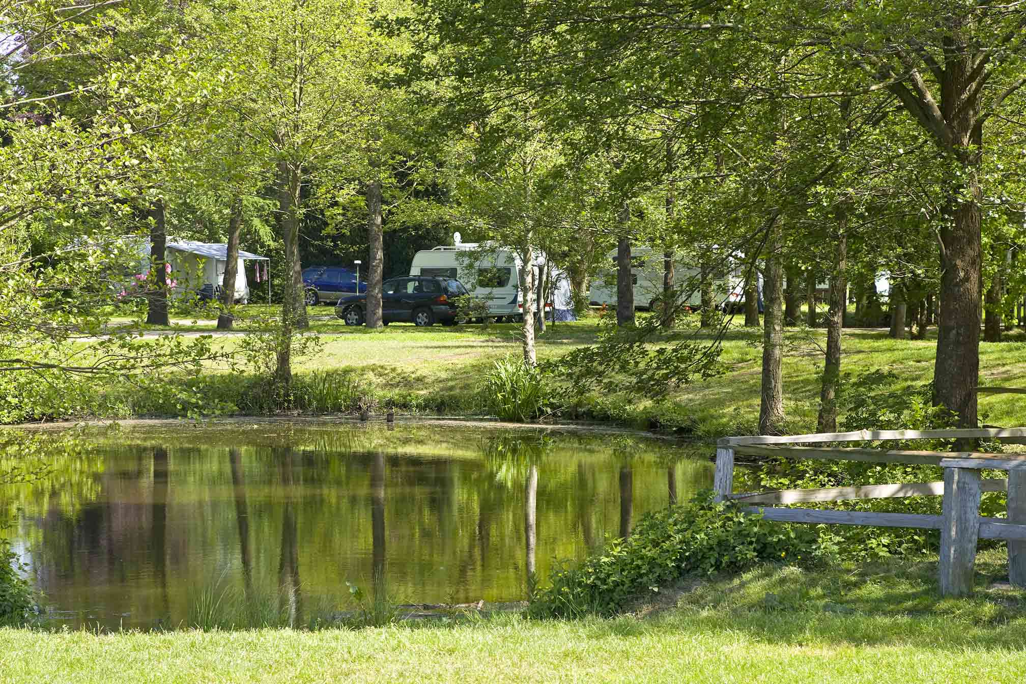 Foto von einem Teich, der umgeben ist von Bäumen und Sträuchern. Im Hintergrund sind Wohnwagen zu sehen.