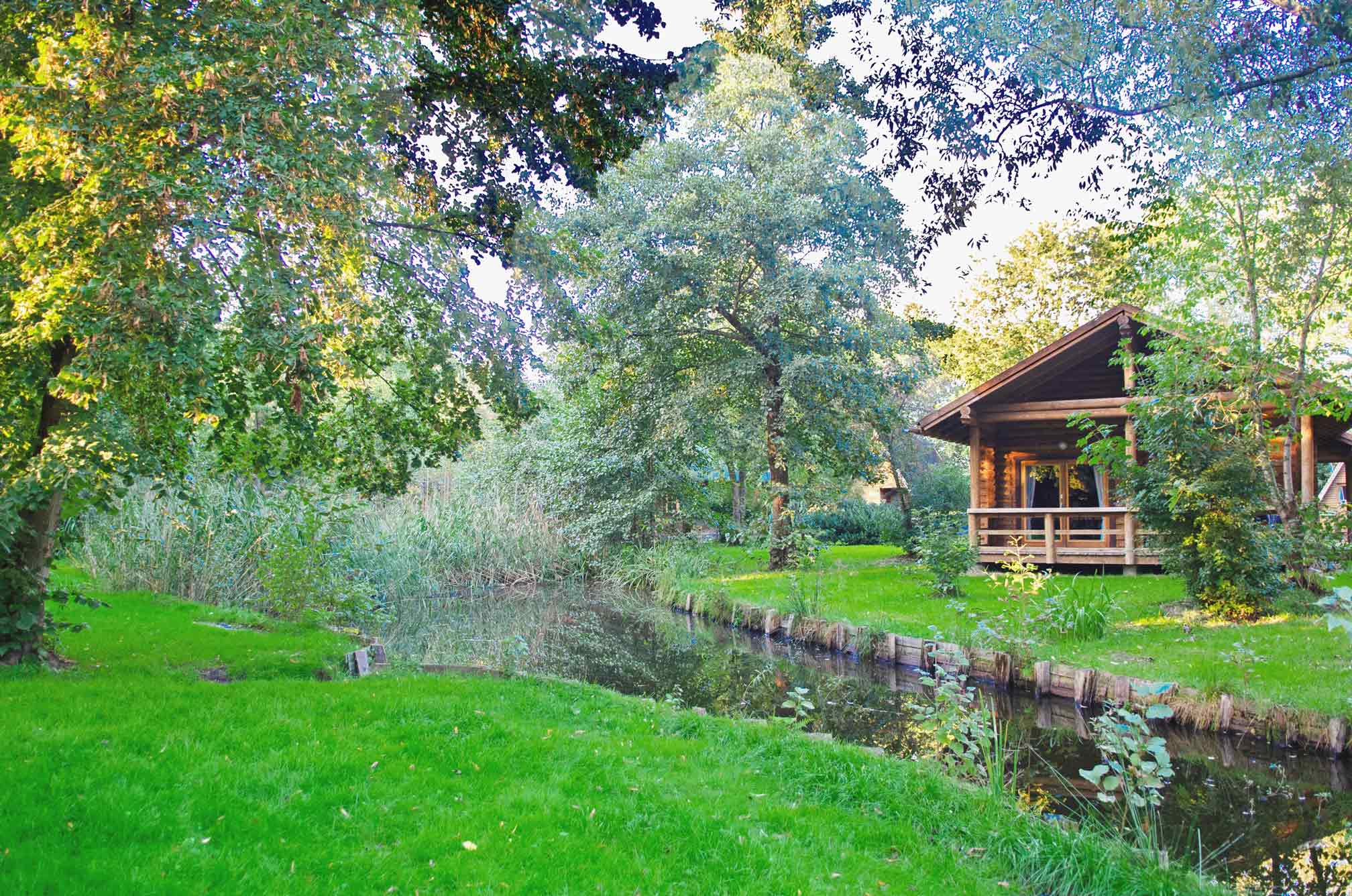 Typ E – Blockhaus 329 mit Wald im Hintergrund, Holzoptik und Terrasse, natürlich eingebettet