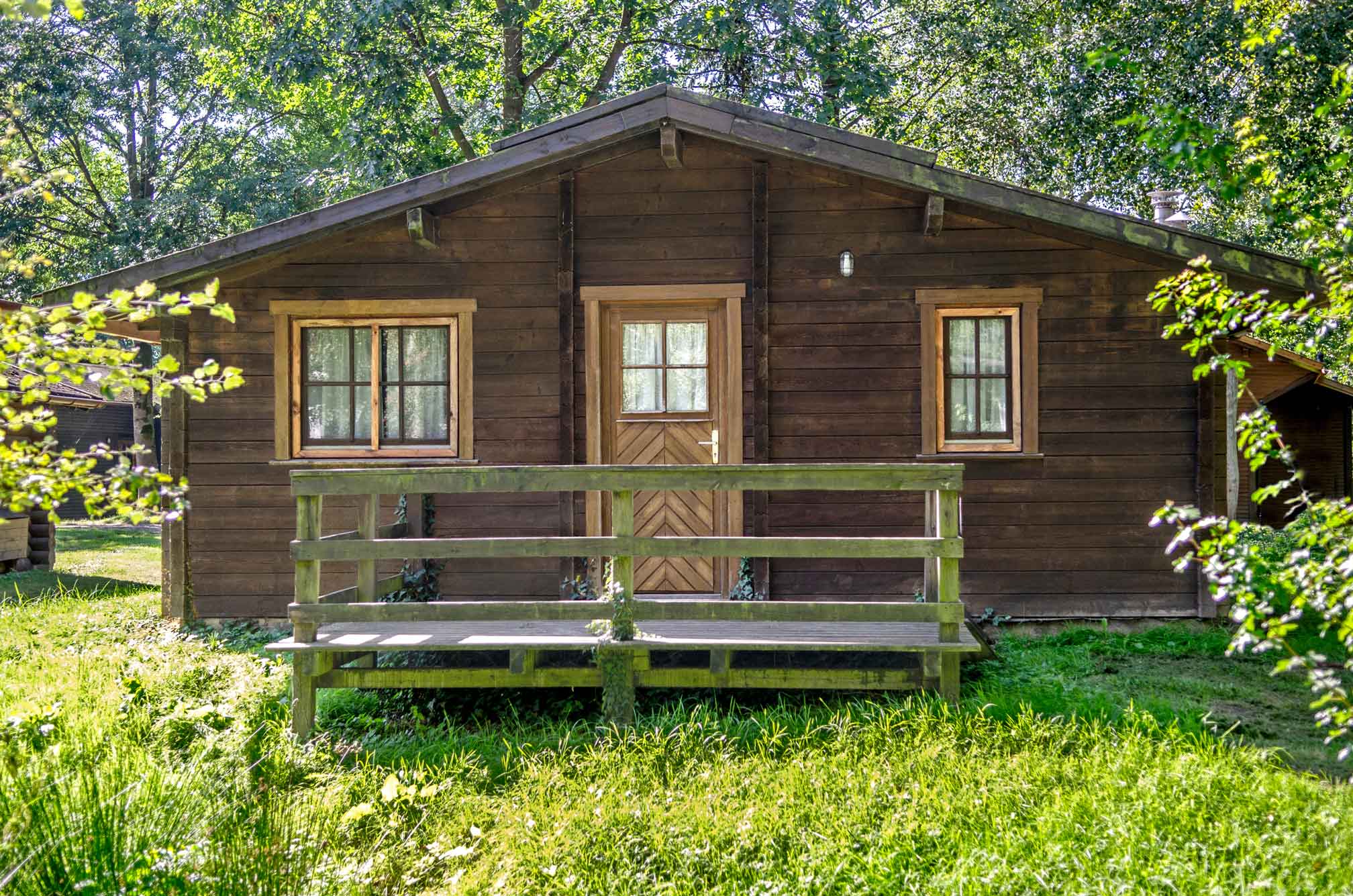 Typ C – Blockhaus 361 mit heller Holzfassade, kleinen Fensterläden und grüner Umgebung