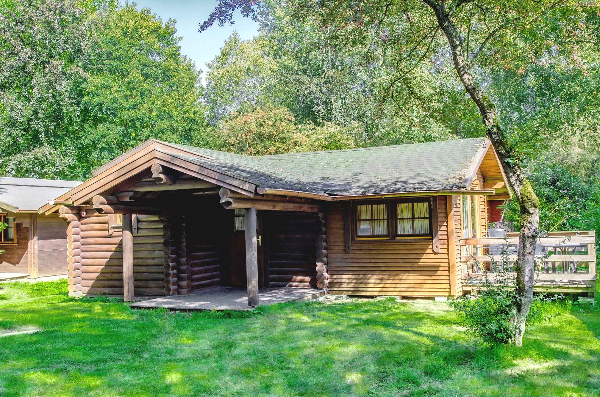Typ C – Blockhaus 363 mit breitem Dachüberstand und grünem Grundstück am Waldrand