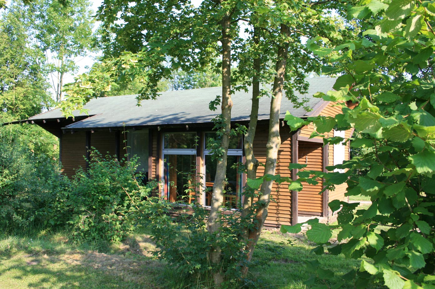 Typ B – Ferienhaus 377 eingebettet in dichte Vegetation, mit Glasfront und Naturholzoptik