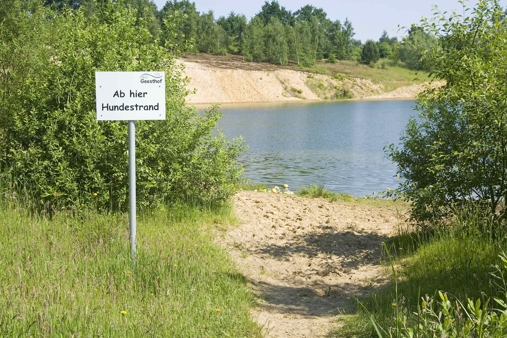 Foto eines Strandabschnitts mit einem Schild, das den Zugang für Hunde erlaubt.