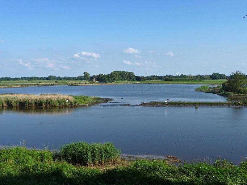 Steindämme unter Wasser schützen die Pütten vor Booten