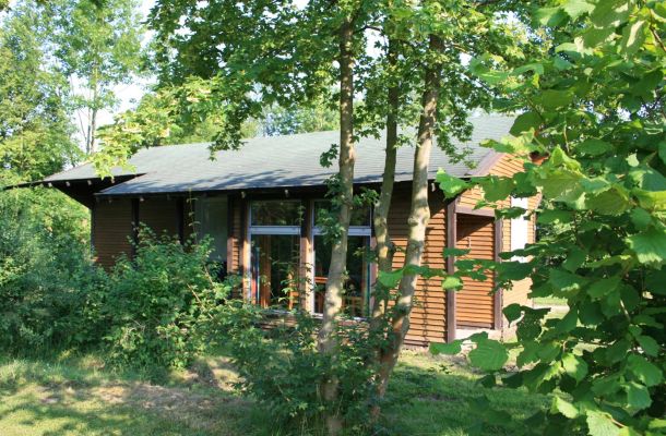 Typ B – Ferienhaus 377 eingebettet in dichte Vegetation, mit Glasfront und Naturholzoptik