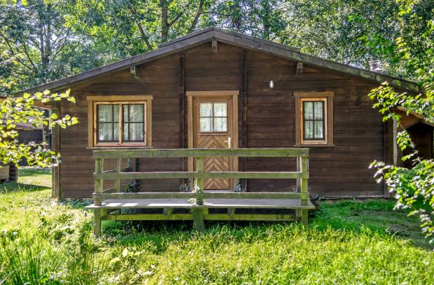 Typ C – Blockhaus 361 mit heller Holzfassade, kleinen Fensterläden und grüner Umgebung