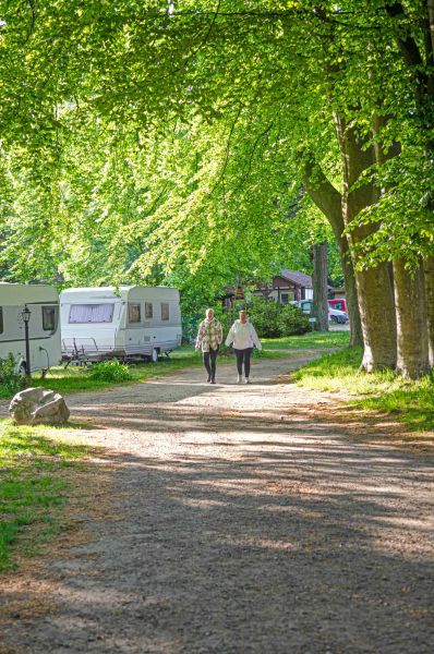 Foto eines Wohnwagens, der auf einer Rasenfläche in einer Parklandschaft steht
