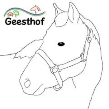 Foto von einem Ausmalbild mit Ponykopf.