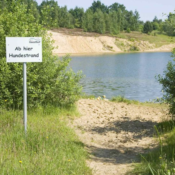 Foto eines Strandabschnitts mit einem Schild, das den Zugang für Hunde erlaubt.