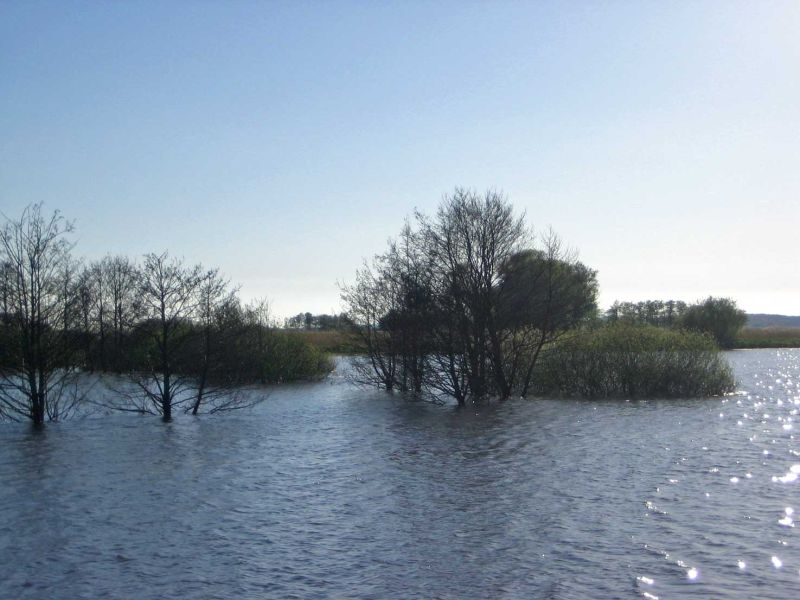 Überflutete Wiesen und ertränkte Bäume - Naturschauspiel Pütten