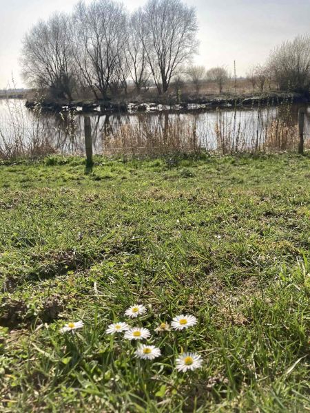 Zu jeder Jahreszeit ein Hingucker - Frühling an der Oste