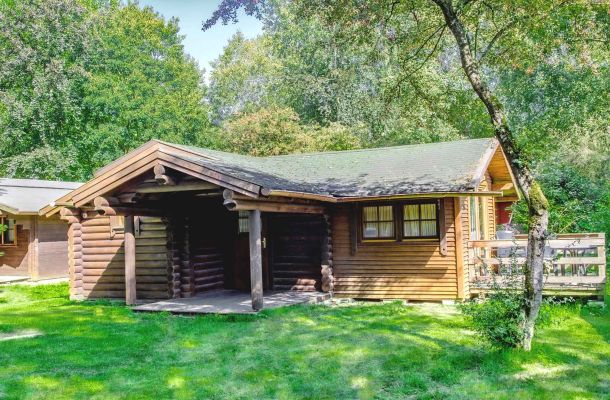 Typ C – Blockhaus 363 mit breitem Dachüberstand und grünem Grundstück am Waldrand