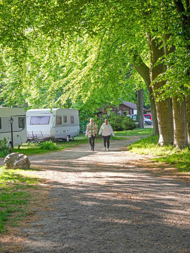 Foto eines Wohnwagens an einem Schotterweg zwischen Bäumen