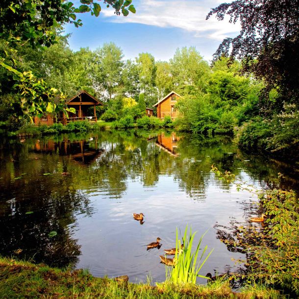 Foto von einem kleinen Teich mit Enten und Ferienhäusern im Hintergrund.