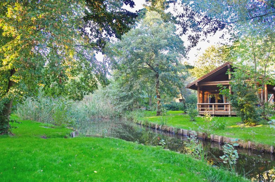 Foto von dem Blockhaus 329 auf einer Wiese an einem kleinen Teich.