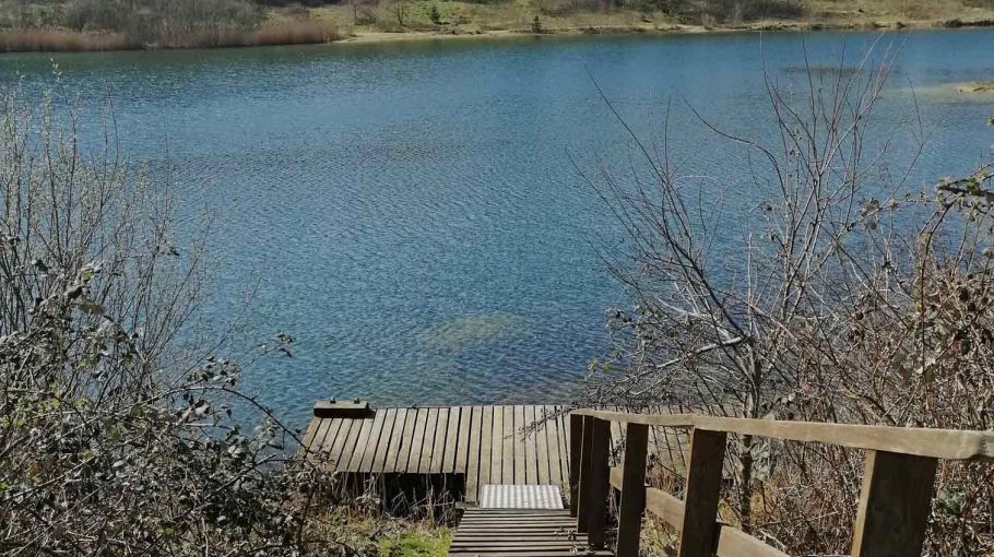 Foto eines Steges am Geestsee mit klarem Wasser.