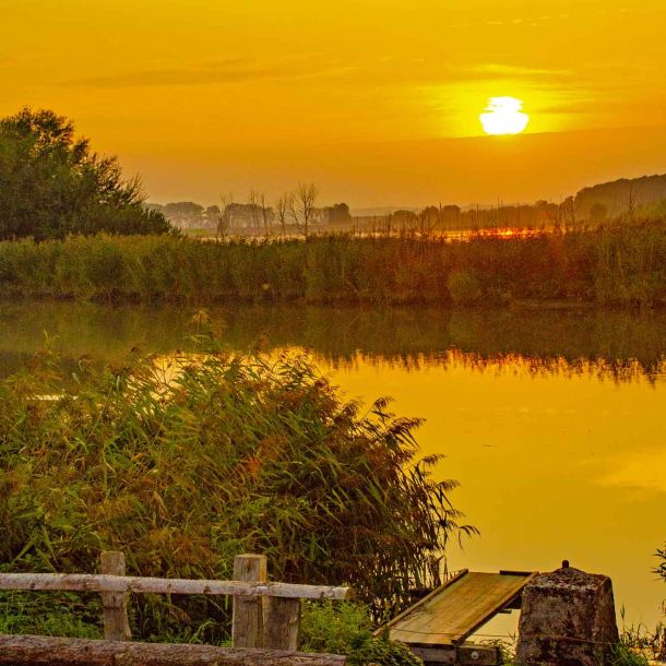 Abendstimmung am Wasser mit untergehender Sonne, Steg, Holzgeländer und dichtem Schilf