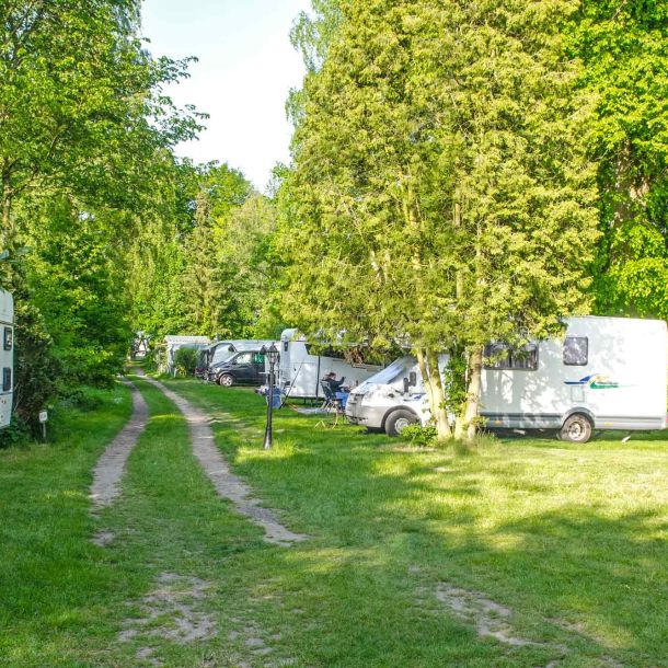 Foto von einem Feldweg entlang von mehreren Stellplätzen