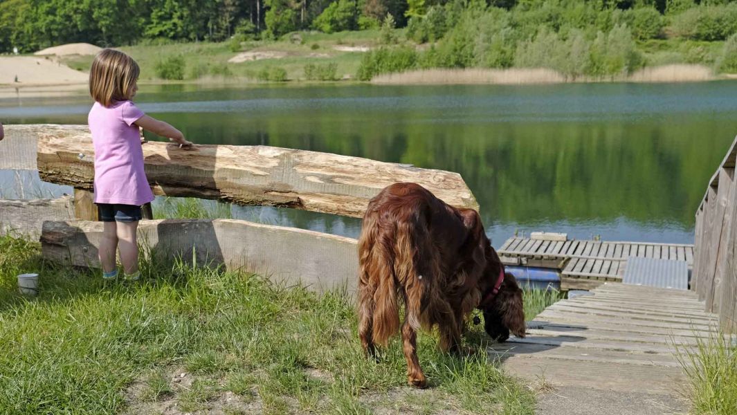 Foto eines Kinder mit dem Familienhund, die gemeinsam die Natur erforschen.