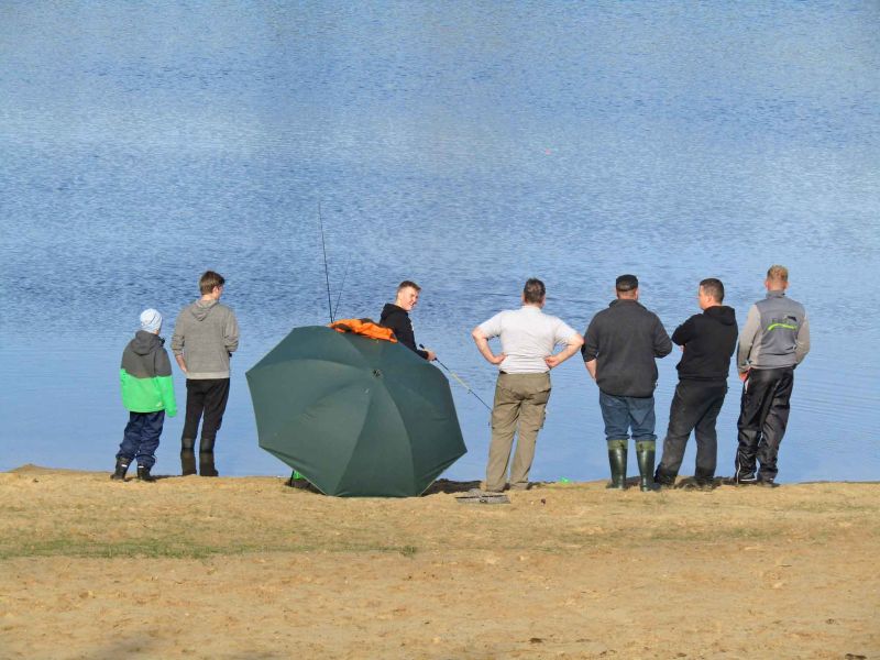 Foto von mehreren Anglern am Geestsee, die aufs Wasser schauen.