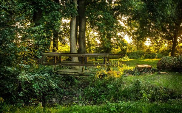 Foto einer Holzbrücke mit Gegenlicht der Sonne