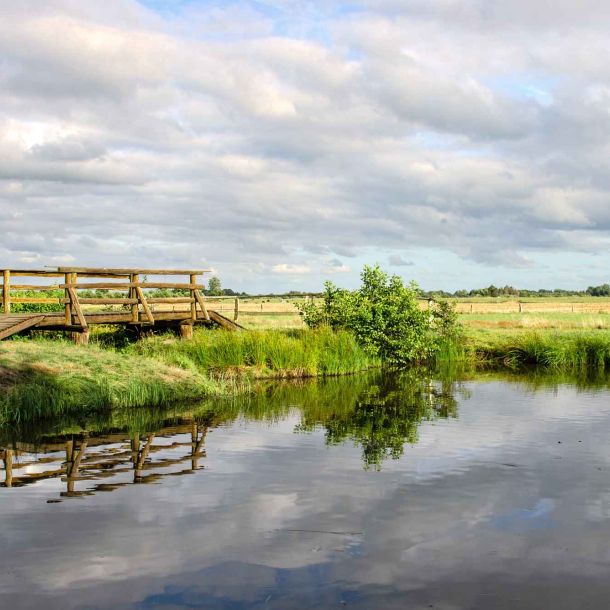 Foto des Forellenteiches mit bewölktem Himmel und weiter Landschaft.